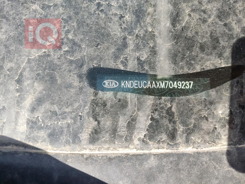 کیا سێلتۆس